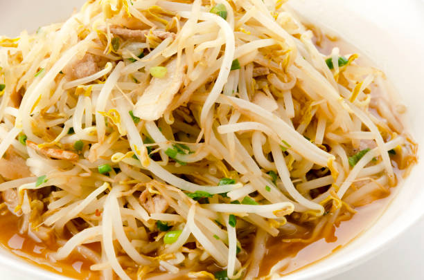 stir fried beansprouts stir fried beansprouts